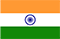 ManpowerGroup India Flag