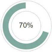 Manpower managed the same sales activities as the permanent promoter’s team